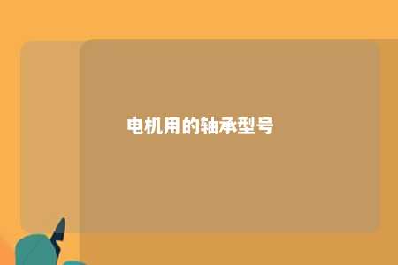 电机用的轴承型号 